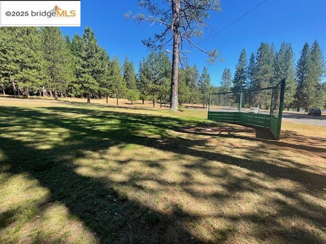 25481 David Dr Property Photo 30