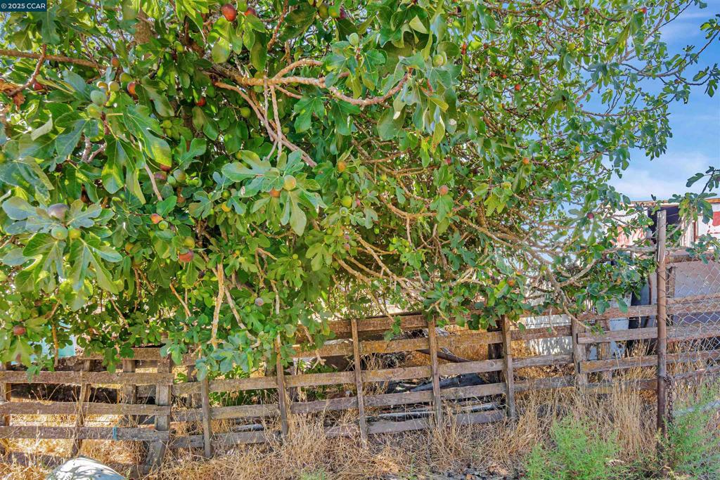 21200 Silva Road Property Photo 7