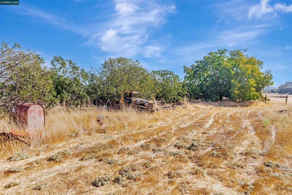 21200 Silva Road Property Photo 14