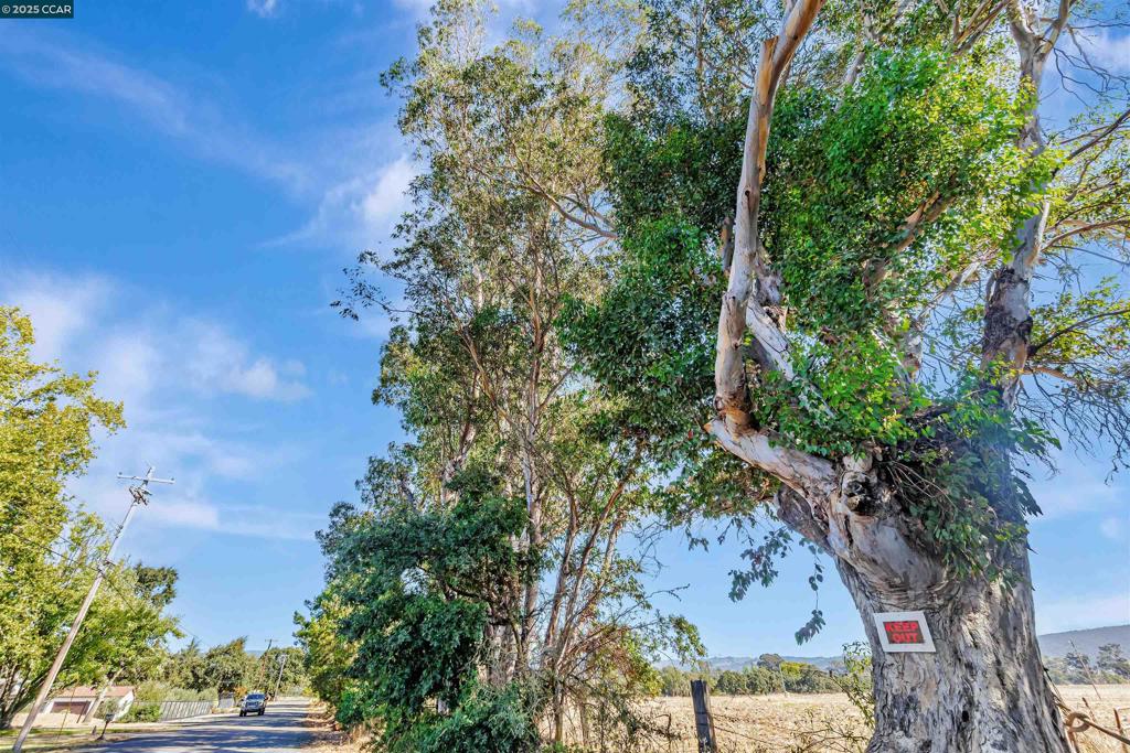 21200 Silva Road Property Photo 16