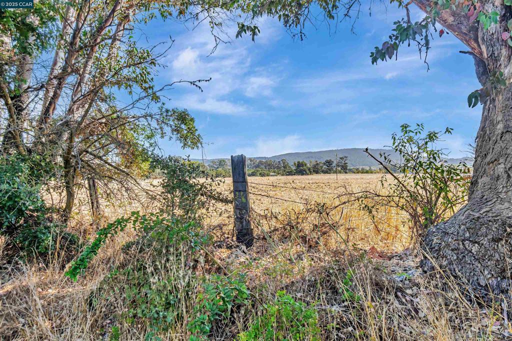 21200 Silva Road Property Photo 18