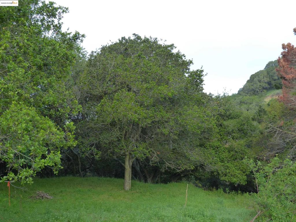 11275 Kerrigan Dr Property Photo 5