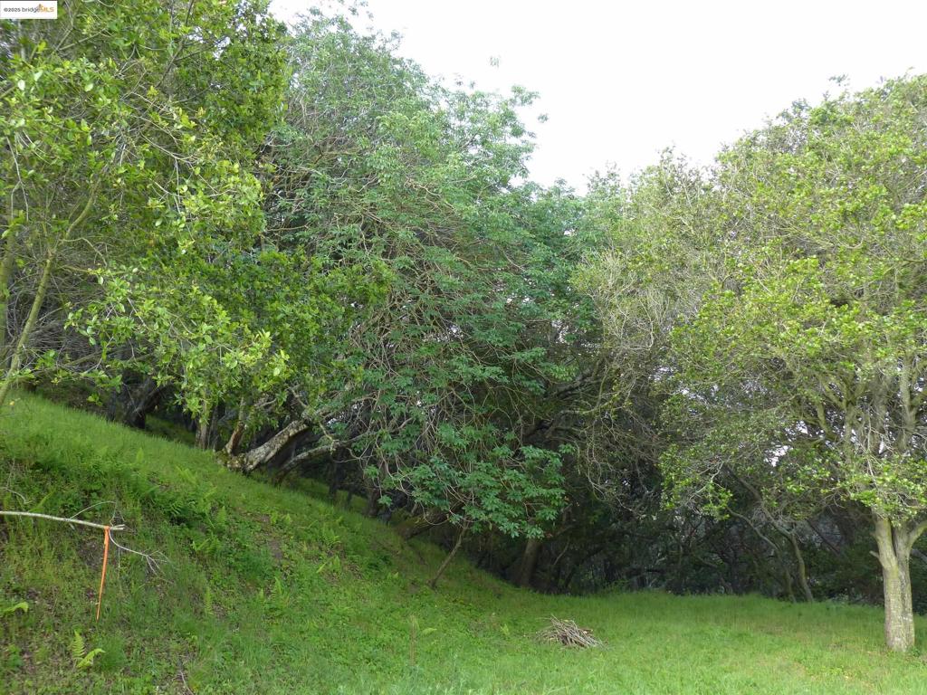 11275 Kerrigan Dr Property Photo 6