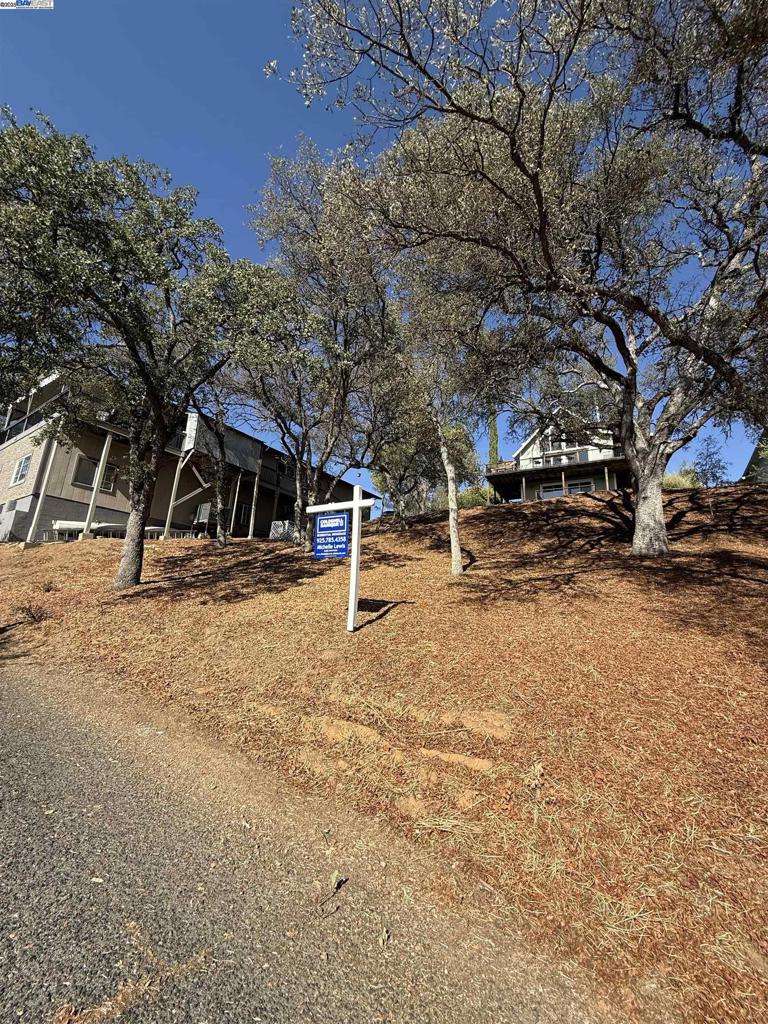 490 Bret Harte Dr Property Photo 3