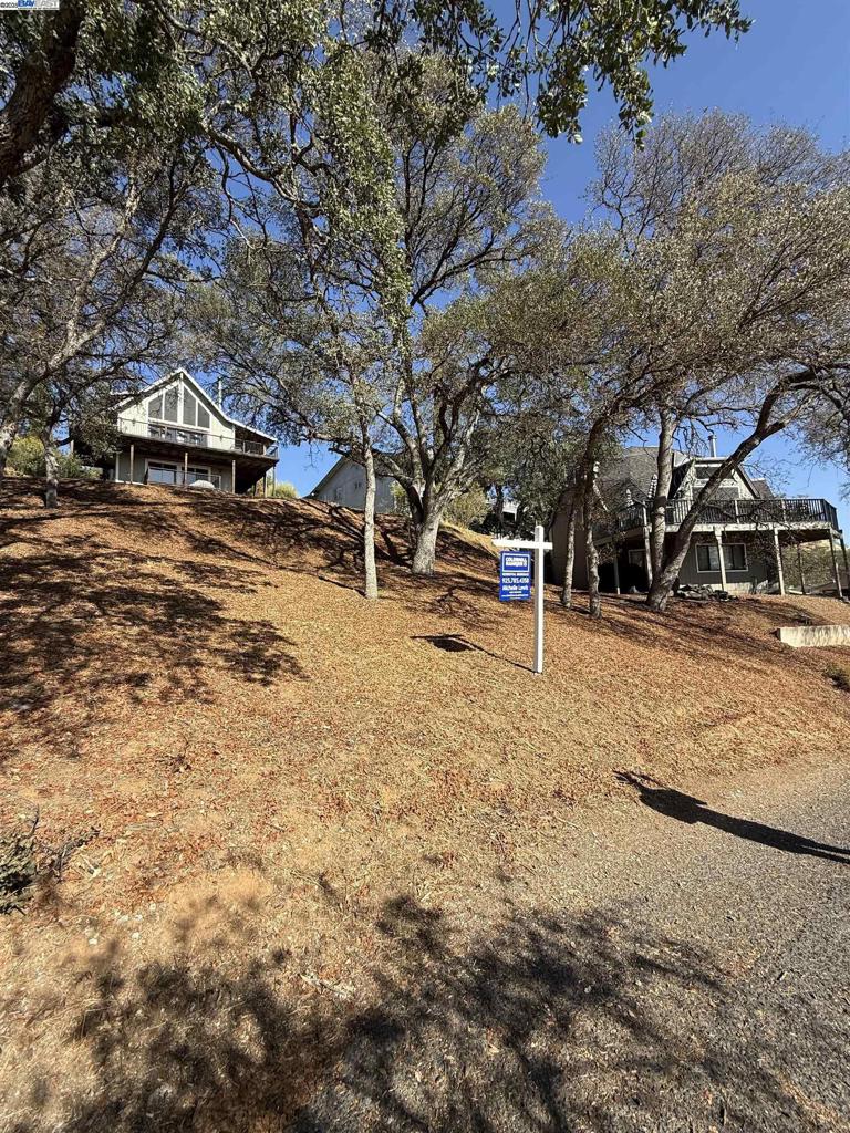 490 Bret Harte Dr Property Photo 4