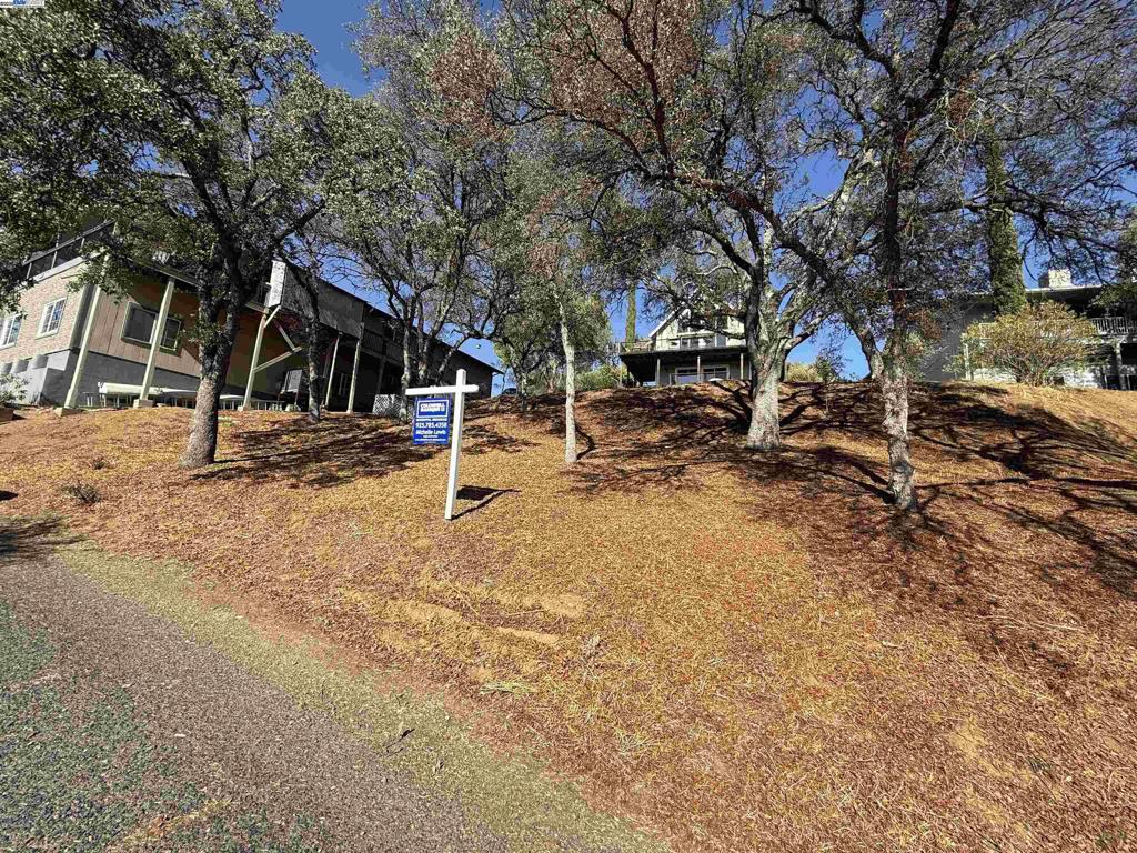 490 Bret Harte Dr Property Photo 5