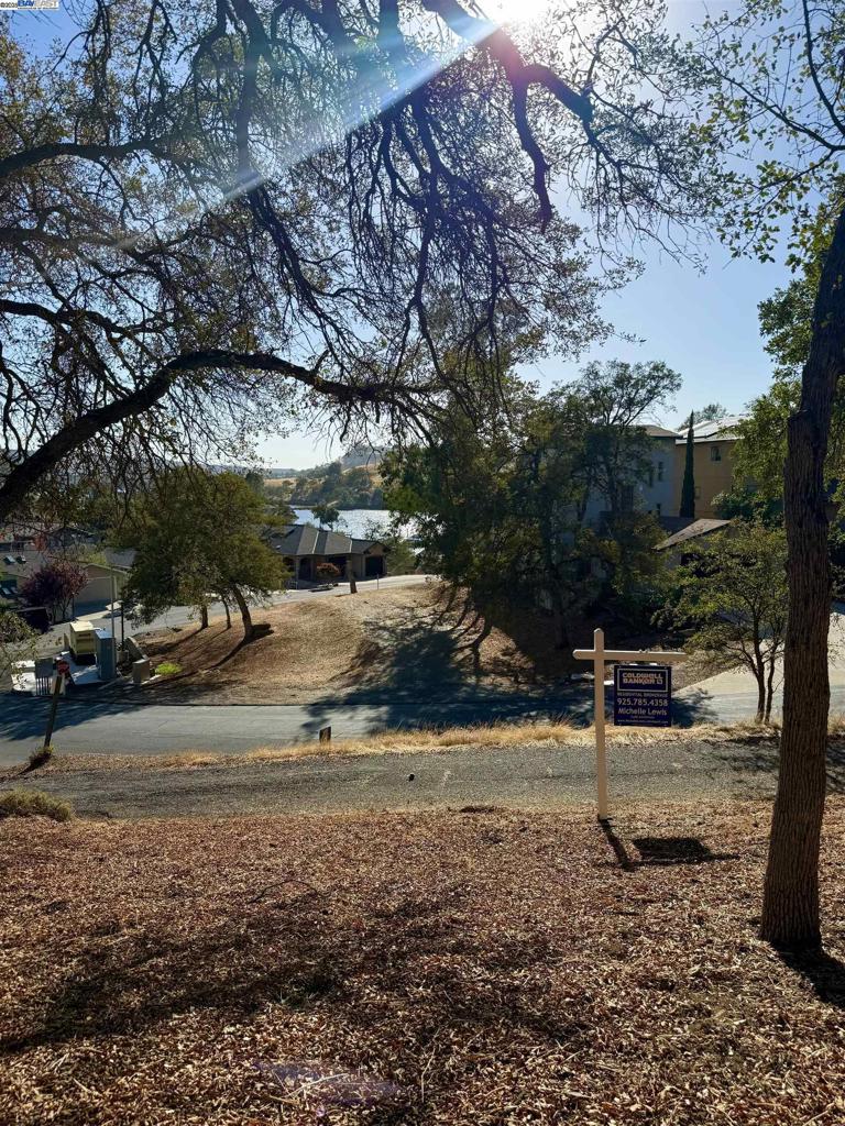 490 Bret Harte Dr Property Photo 6
