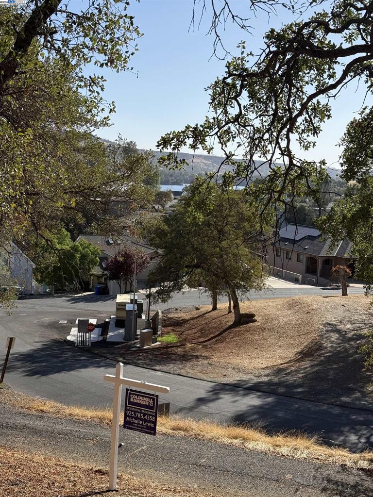 490 Bret Harte Dr Property Photo 7
