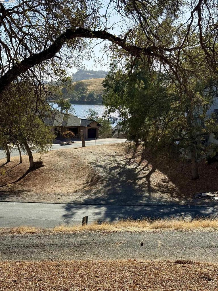 490 Bret Harte Dr Property Photo 8