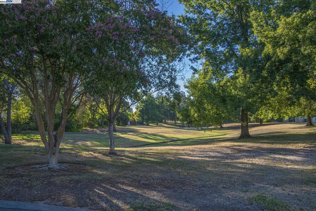 6105 Meiggs Court Property Photo 31