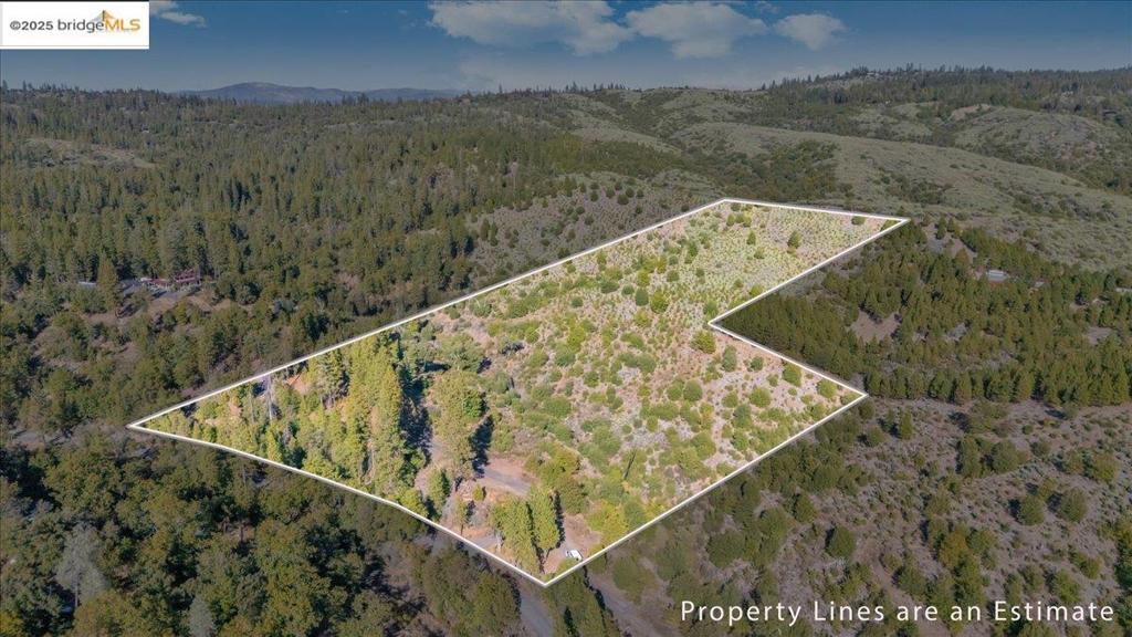 0000 Jackass Creek Rd Property Photo 2