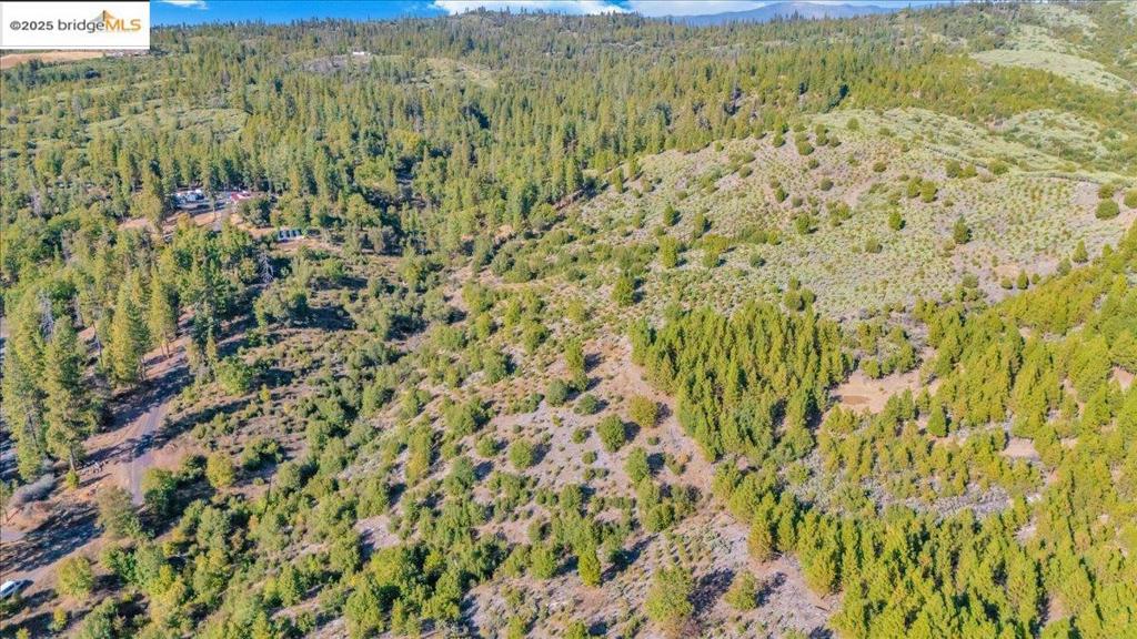 0000 Jackass Creek Rd Property Photo 3