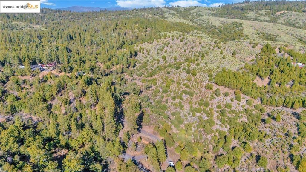 0000 Jackass Creek Rd Property Photo 4