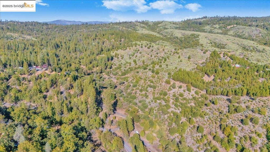 0000 Jackass Creek Rd Property Photo 5