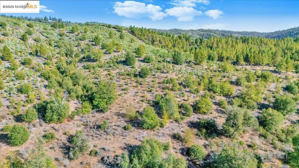 0000 Jackass Creek Rd Property Photo 8