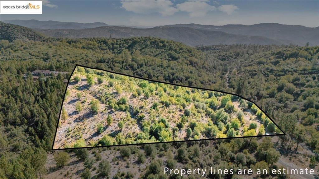 00 Jackass Creek Rd Property Photo 2