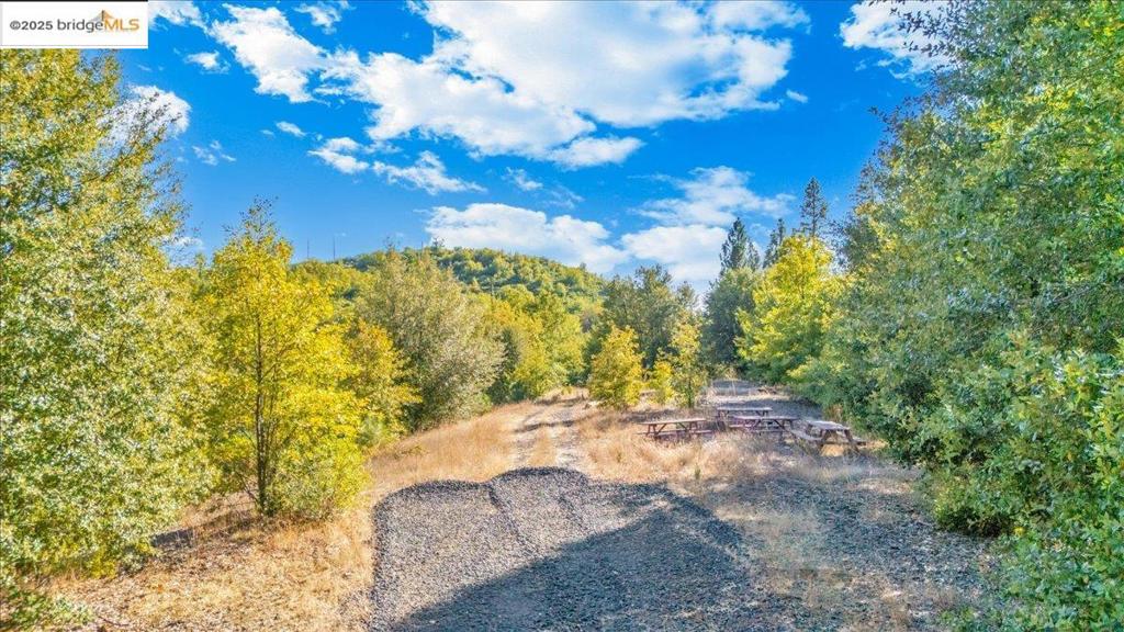 00 Jackass Creek Rd Property Photo 3