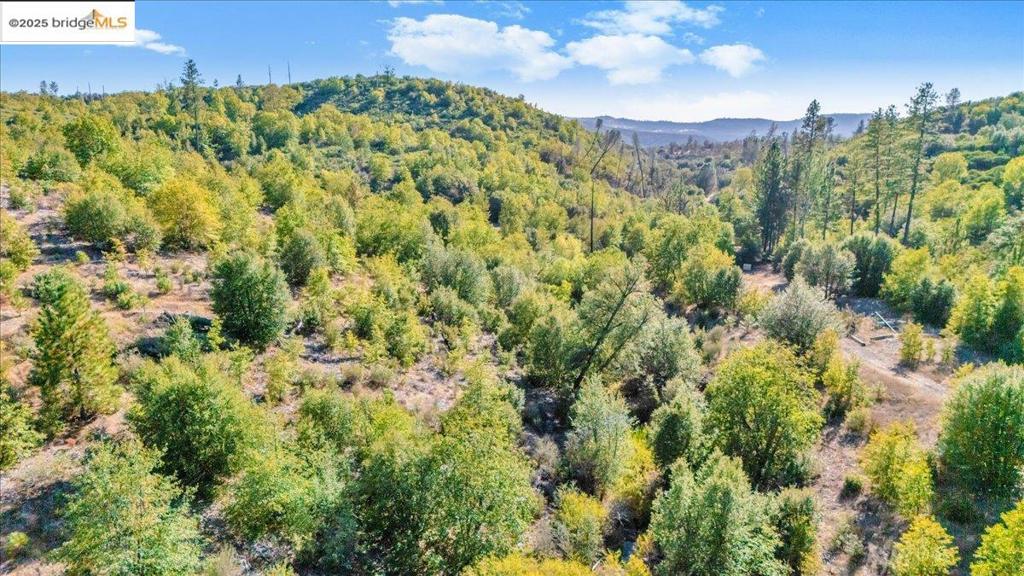 00 Jackass Creek Rd Property Photo 6