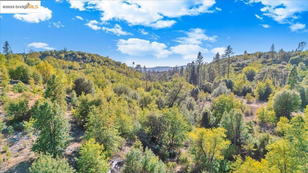 00 Jackass Creek Rd Property Photo 7