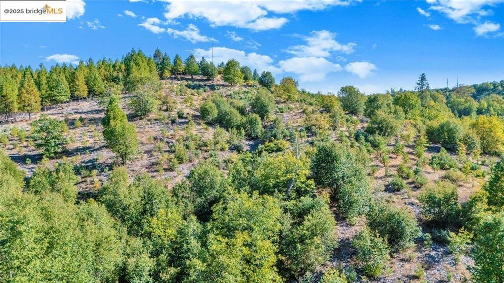 00 Jackass Creek Rd Property Photo 8