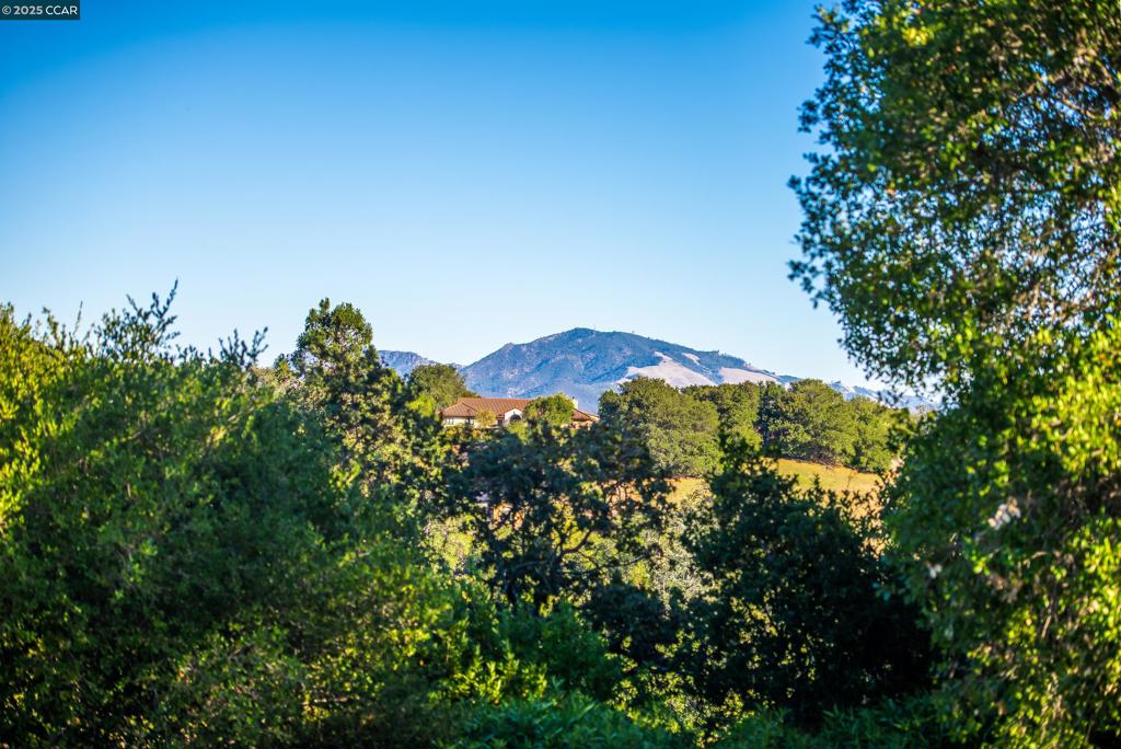 1600 Shangri La Ct. Property Photo 9