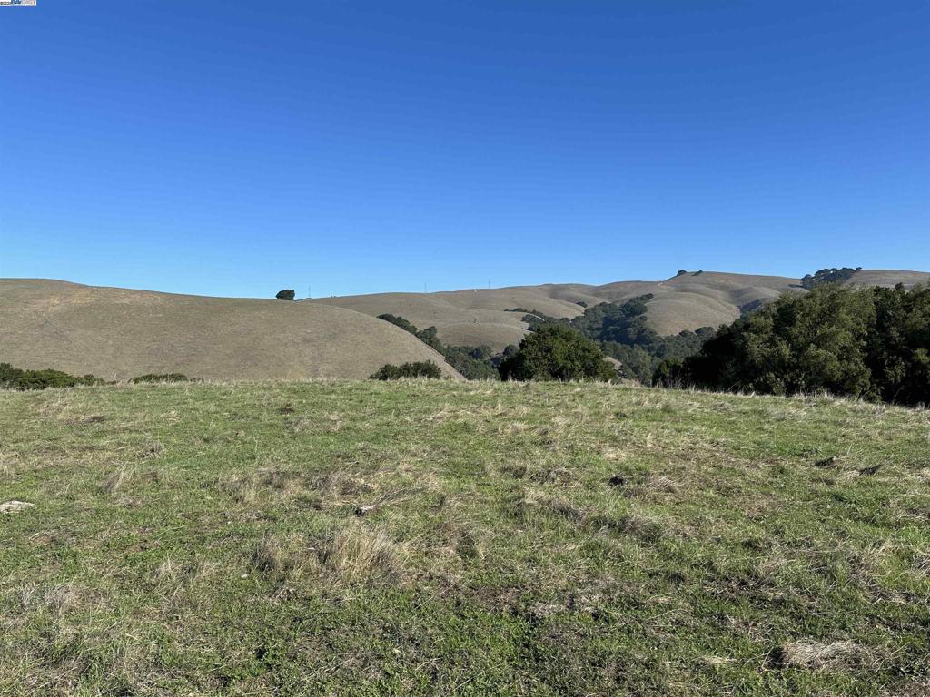 Morrison Canyon Rd Lot #2 Property Photo 3