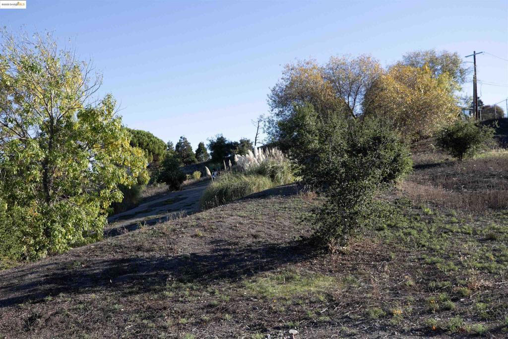 41116742 Property Photo 2