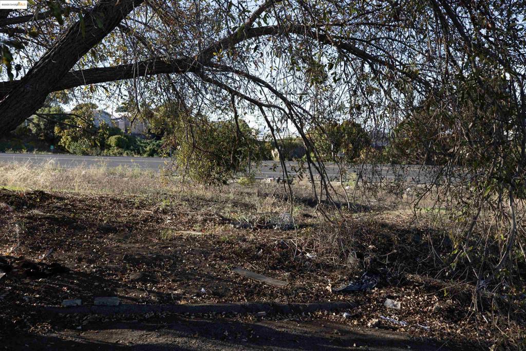 41116742 Property Photo 3