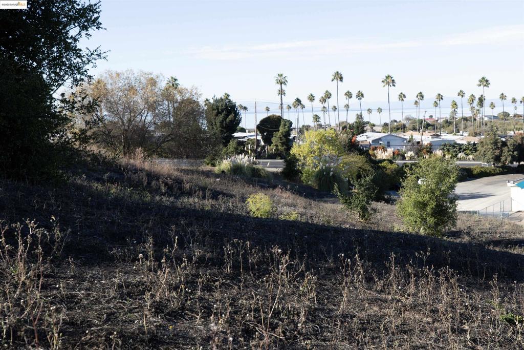 41116742 Property Photo 4
