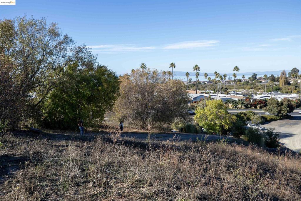 41116742 Property Photo 5