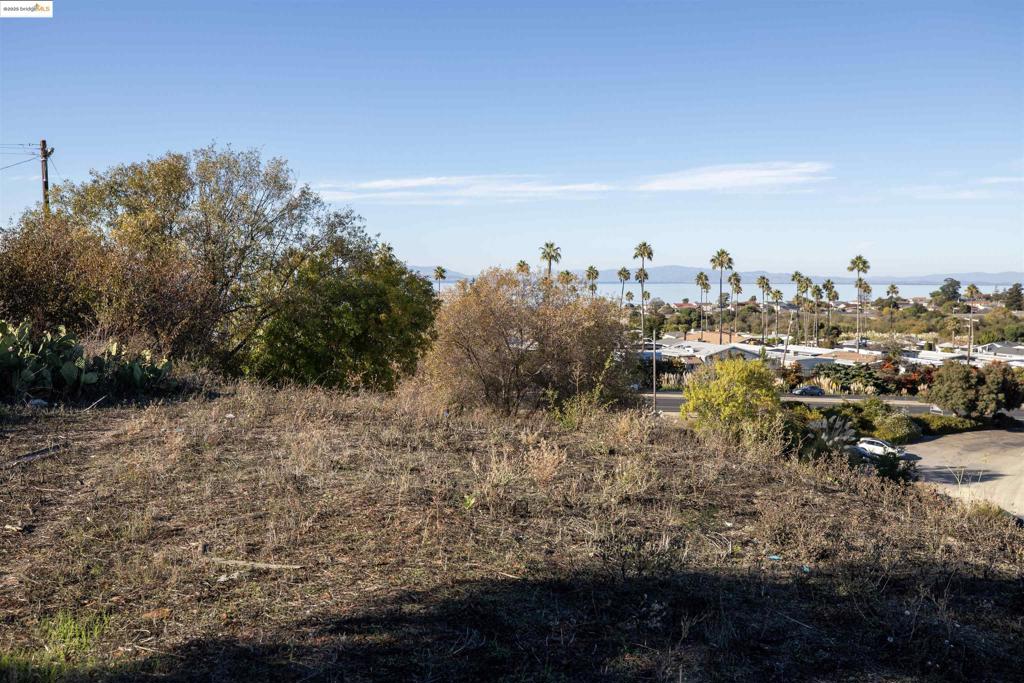 41116742 Property Photo 7