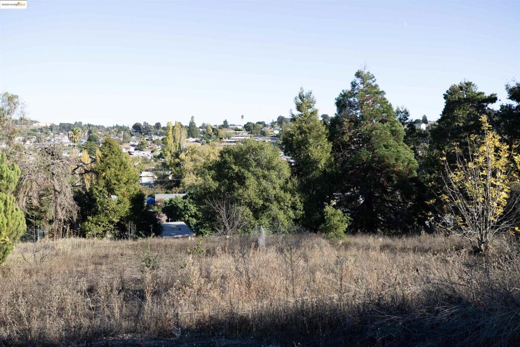 41116742 Property Photo 9