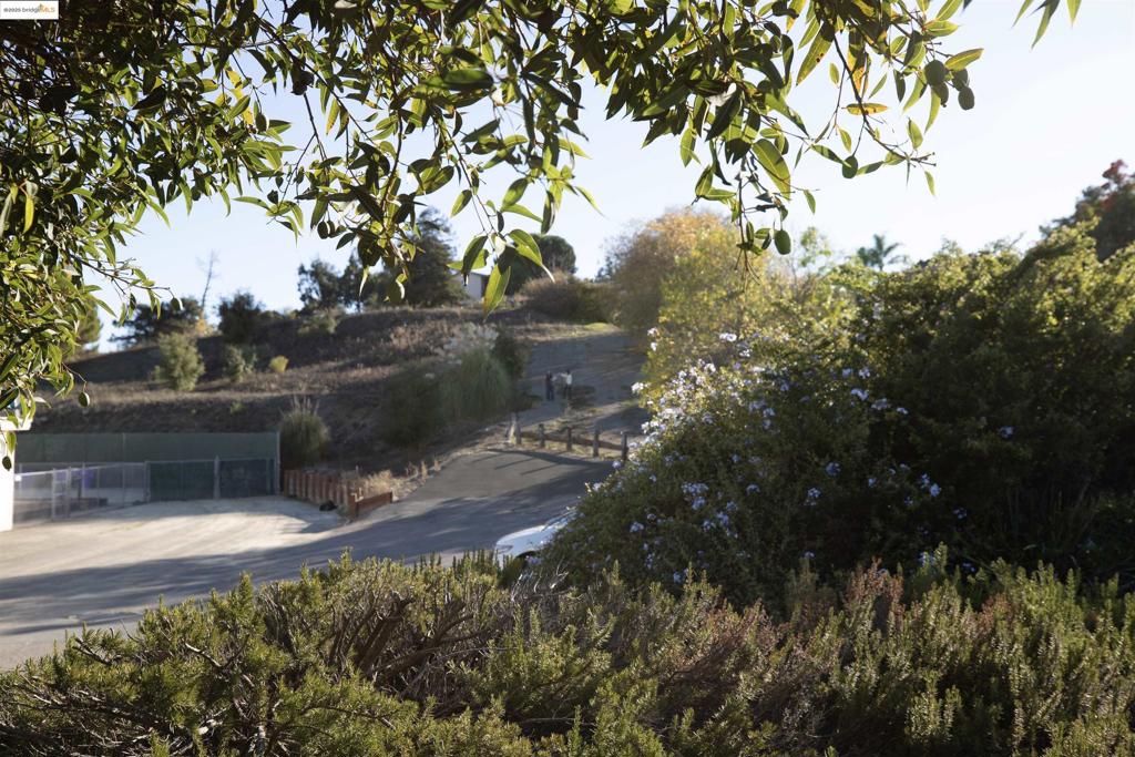 41116742 Property Photo 12