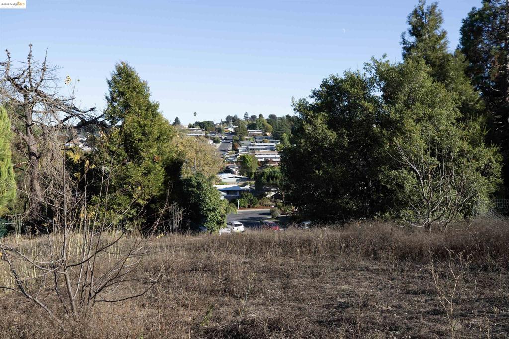41116742 Property Photo 13