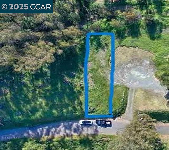 6595 Thorndale Dr Property Photo 1