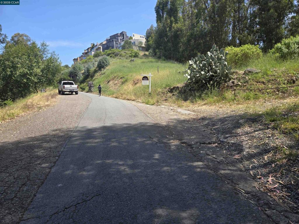 6595 Thorndale Dr Property Photo 4