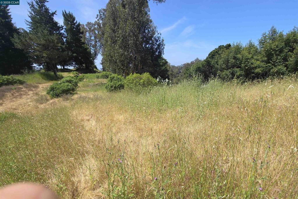 6595 Thorndale Dr Property Photo 5