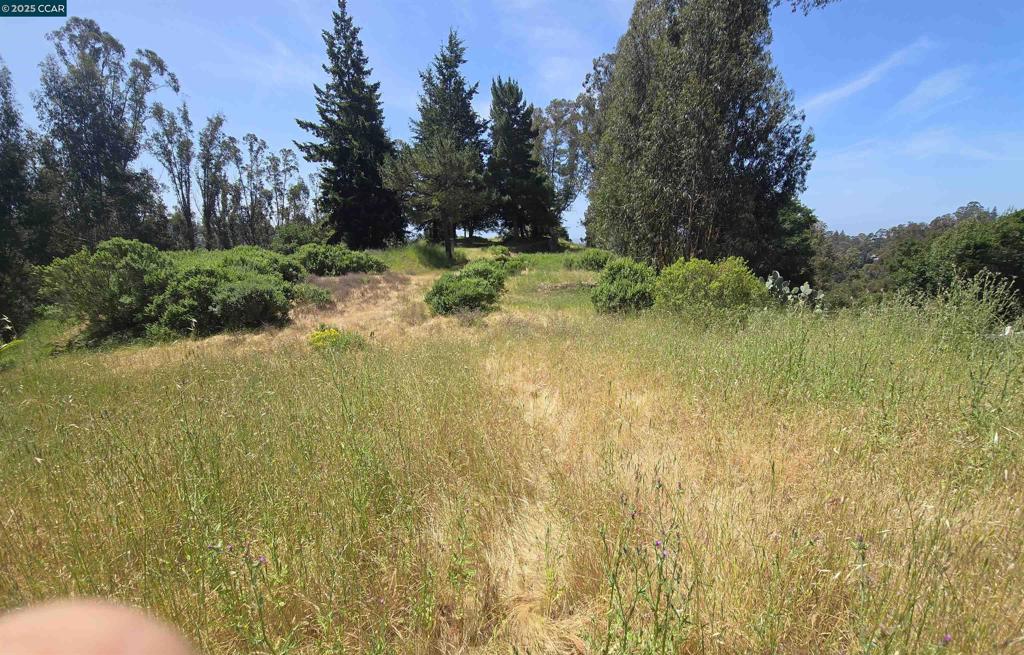 6595 Thorndale Dr Property Photo 6