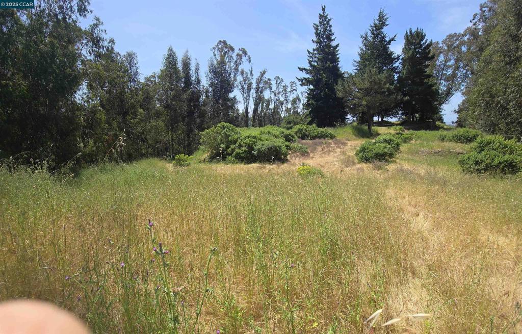 6595 Thorndale Dr Property Photo 7