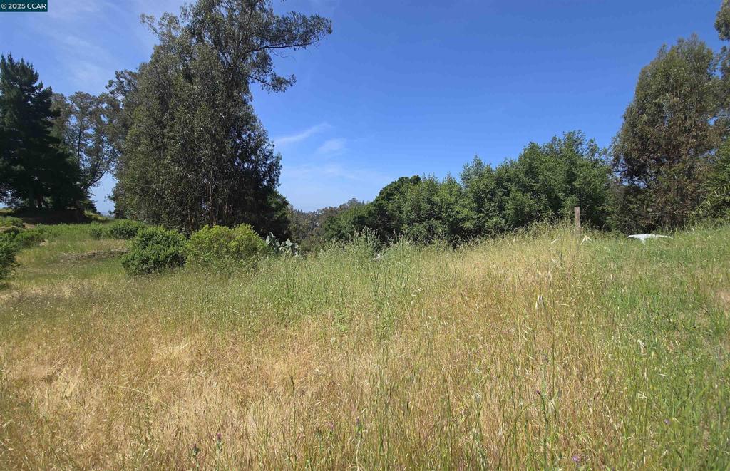 6595 Thorndale Dr Property Photo 8