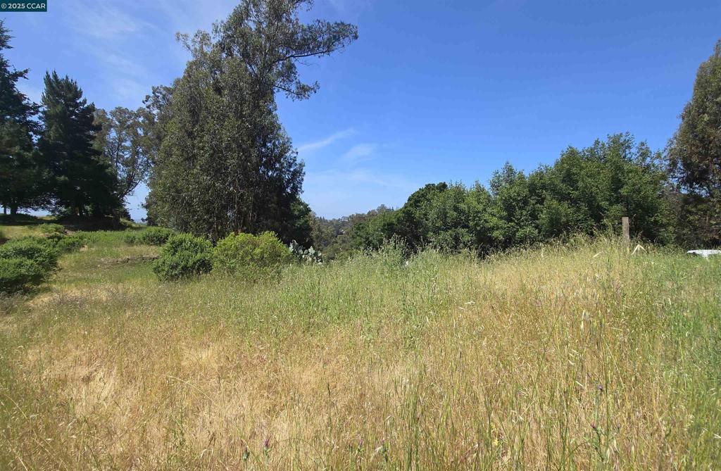 6595 Thorndale Dr Property Photo 9