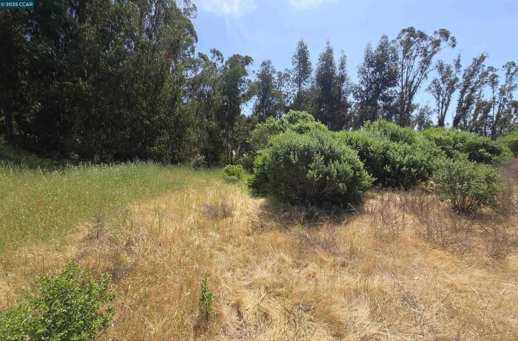 6595 Thorndale Dr Property Photo 10