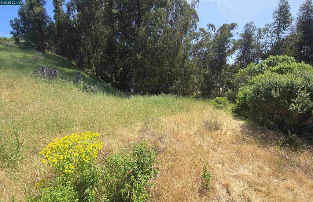 6595 Thorndale Dr Property Photo 11