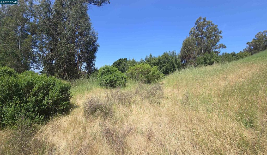 6595 Thorndale Dr Property Photo 13