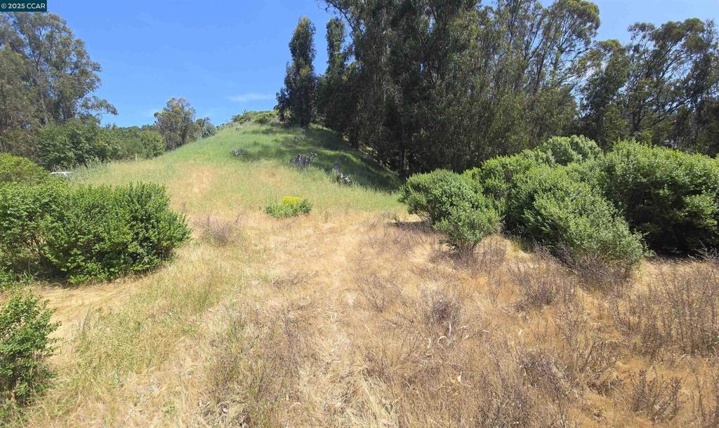 6595 Thorndale Dr Property Photo 14