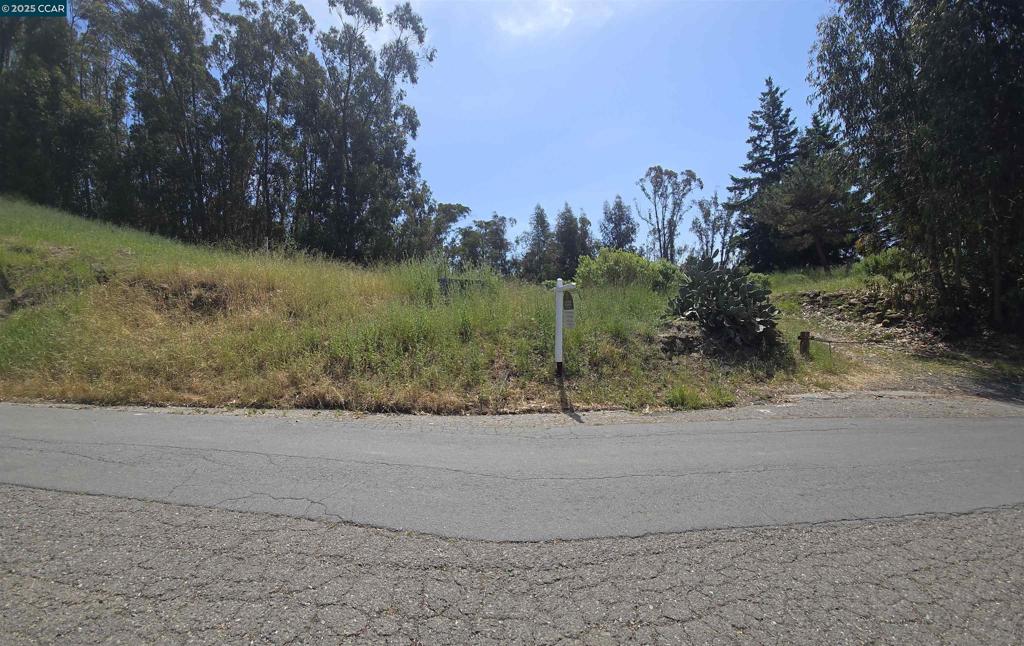 6595 Thorndale Dr Property Photo 15