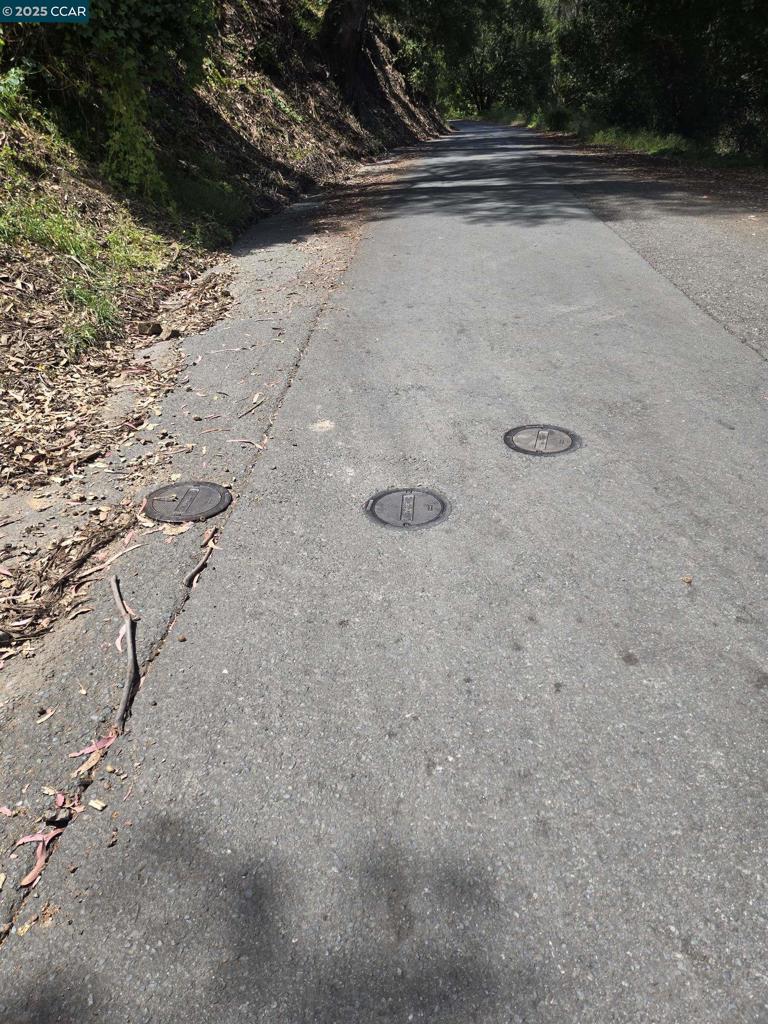 6595 Thorndale Dr Property Photo 16