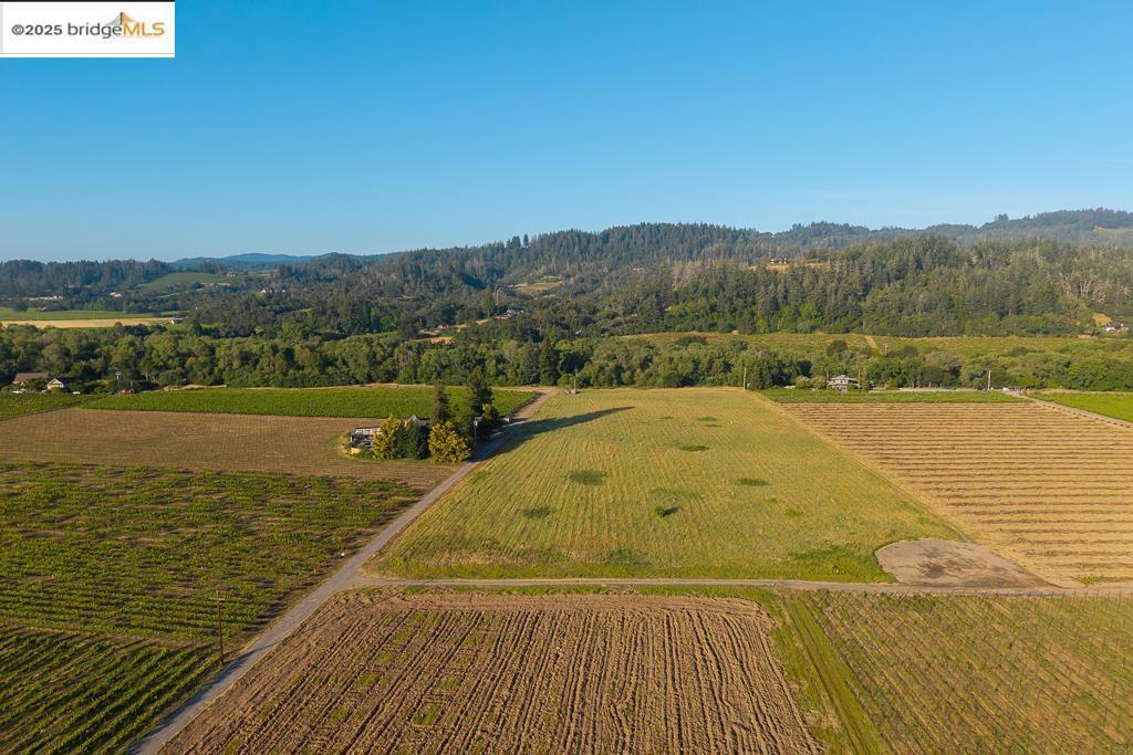838 Dry Creek Property Photo 3