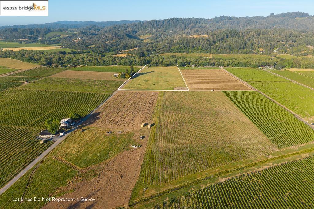 838 Dry Creek Property Photo 16