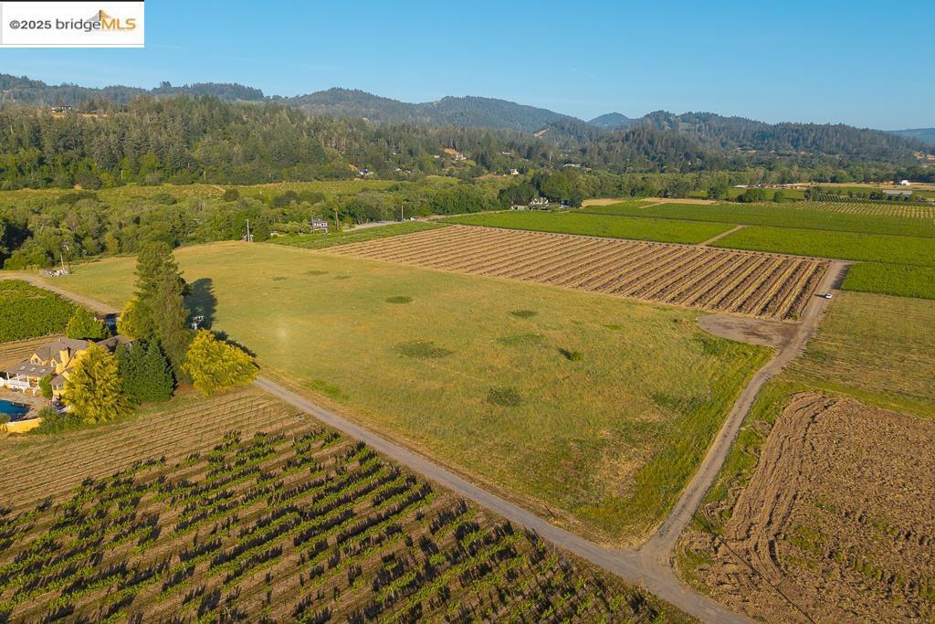838 Dry Creek Property Photo 18